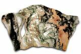 Polished Bear Creek Moss Agate Slab - Oregon #334986-2